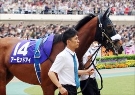 JRA有馬記念「超ラッキー枠」判明!?　アーモンドアイ大本命揺るがずも、「〇枠〇番」が激熱の万馬券演出？