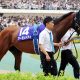 JRA宝塚記念(G1)超豪華「G1馬8頭」集結も「アノ馬」の不在に嘆きの声!? G1馬「資格十分」も“悲願”の舞台に立てずか