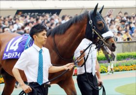 JRAアーモンドアイ「春全休」も!? ドバイ中止でローテーションほぼ白紙に……。蘇る昨年末の苦い思い出