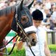 JRAが下したアーモンドアイ「成長力なし」評価にガックリ!? 「芝G1・9勝」「賞金王」で最強証明も、最後まで超えられなかった壁