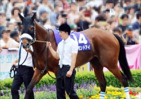 JRAヴィクトリアマイル（G1）アーモンドアイら史上最強メンバー集結!? G1馬5頭が春のマイル女王決定戦で激突か