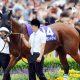JRA 好調・横山典弘騎手に「玉砕」指令!? 安田記念(G1)ノームコア池谷誠一オーナーから粋なエール