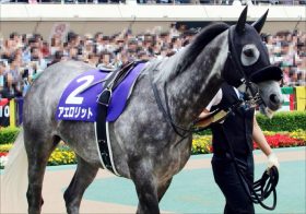 JRA「激走娘」アエロリット大好物の「左」毎日王冠（G2）で逃げ切り十分な理由