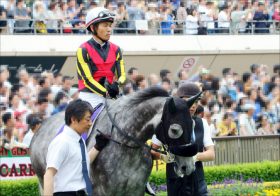 JRA毎日王冠（G2）ダノンキングリー不要の「究極2点」勝負！ 的中を確信させる「強力現場ネタ」で挑む!!