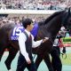 JRA安田記念(G1)グランアレグリアを「ワープ」させた『みんなのKEIBA』に批判殺到!? 大本命アーモンドアイ「大写し」の結果敗戦……6年前「ハープスター事件」の悪夢再び