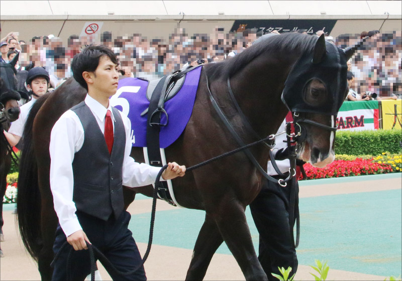 JRA天皇賞・秋（G1）アーモンドアイから「超確信の三単4点」勝負！ サートゥルナーリアに「黄信号」情報!?の画像6