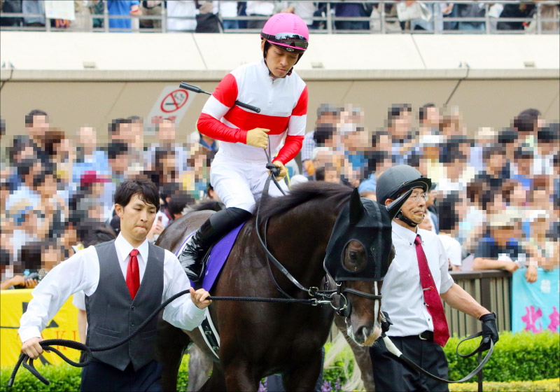 JRAマイルCS(G1)はダノンプレミアム外しの「好配当」狙い! 強力「現場ネタ」が示す「鉄級の勝負馬」!!の画像6