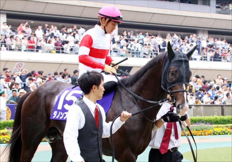 JRA種牡馬「戦国時代へ」ディープインパクト後継不安、キンカメ後継有力、そして新種牡馬たちへの期待の画像3