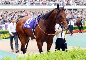 JRA函館スプリントS（G3）は霜降り明星・せいやの「女性スキャンダル」が“サイン”!? 浮上した「4頭」で高配当ゲット？