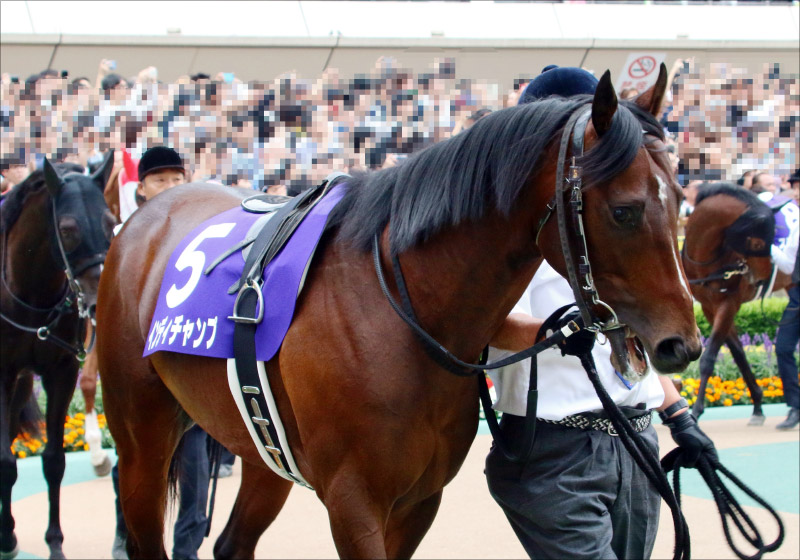 JRA アーモンドアイ「芝G1レース8勝目」は安田記念(G1)で? ダノンプレミアムら超強力ライバル相手に金字塔を打ち立てるか!?の画像3