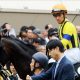 JRA「悲願」シゲルピンクダイヤがローズS(G2)で躍動!? 距離短縮よりいいのが……