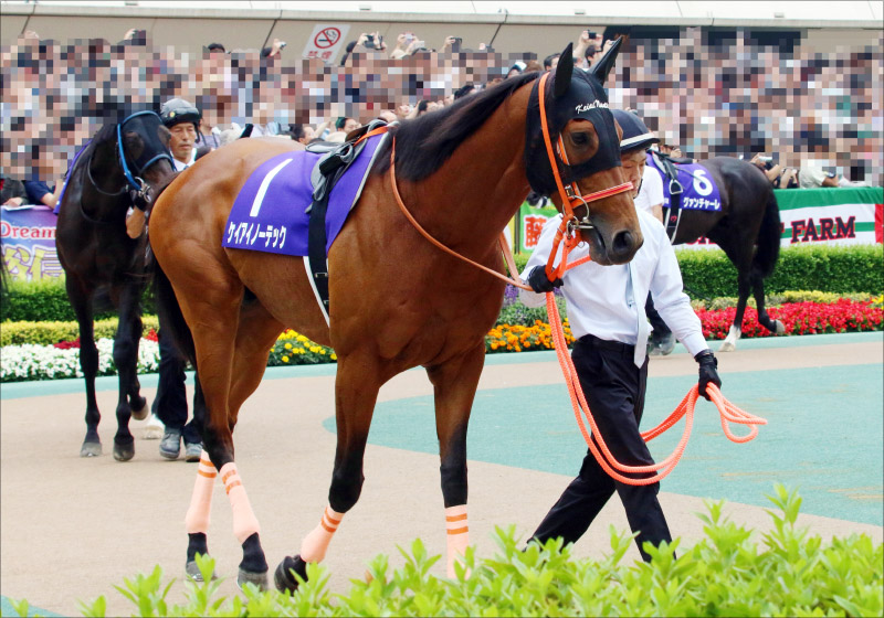 JRA岩田望来「成績下降」はあのウワサが原因!? 中京記念(G3)復活の兆しケイアイノーテックで浮上のきっかけを掴めるか?の画像2