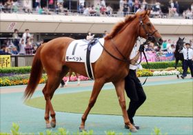 JRA「オルフェ産大物」モーベットが新潟2歳S（G3）大本命？ 母アイムユアーズの血目覚める？