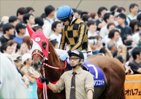 JRA「史上初」ずくめなるか!? 矢作厩舎モズアスコットが高松宮記念（G1）で「空前絶後」の大偉業に挑む！