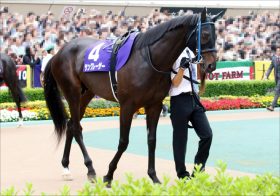 JRA札幌記念（G2）「本質夏馬？」サングレーザーがG1馬を一蹴連覇の可能性