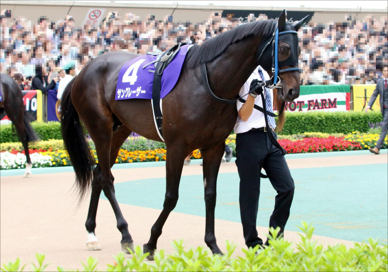 JRA札幌記念（G2）「本質夏馬？」サングレーザーがG1馬を一蹴連覇の可能性の画像1