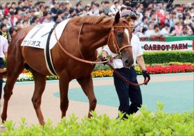 JRA「騎乗停止」松山弘平サリオスが狙う15年前の再現!? 大阪杯（G1）コントレイル、グランアレグリア「春のディープ祭り」に父の血が猛反発