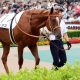 JRA グランアレグリア、サリオス「距離誤認」疑惑で幻となった頂上決戦! 大阪杯(G1)超豪華メンバー激突の裏で、触れてはいけない歴史的名馬の存在とは