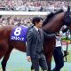 JRA【きさらぎ賞(G3)展望】武豊ヨーホーレイクと「大逸走」ランドオブリバティが激突!デビュー前はダノンザキッドに“圧勝”ダノンジェネラルは試金石の一戦