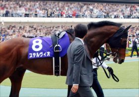 JRA川田将雅VSレーン「因縁」の京王杯SC（G2）!? “蜜月関係”復活へ「代打」ステルヴィオで猛アピール？