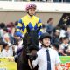 JRA「まるでG1」武蔵野S(G3)モズアスコットVSサンライズノヴァ再び! 超豪華G3「攻略」のカギとなるのは今年のトレンド