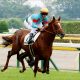 JRA 2頭出し「ダノン軍団」の明暗くっきり!? 安田記念(G1)ダノンキングリー激走の陰でダノンプレミアムは「反応が……」、2頭の運命を分けたのは