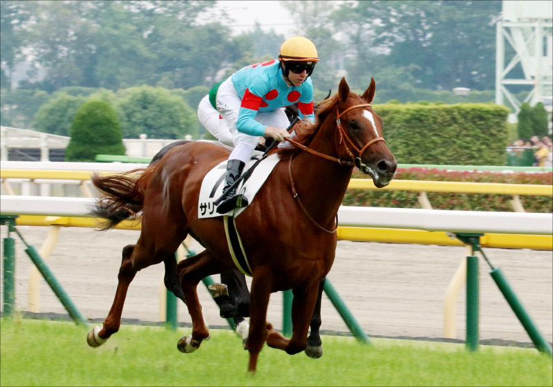 JRAシルク「無双」の新馬7連勝！ 超怪物リアアメリアから無傷で競馬界の新支配者にの画像2