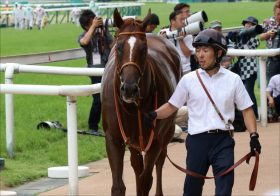 JRA グランアレグリア、サリオス「距離誤認」疑惑で幻となった頂上決戦！ 大阪杯（G1）超豪華メンバー激突の裏で、触れてはいけない歴史的名馬の存在とは