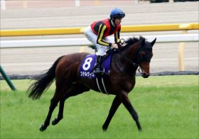 JRA 「手術決断」ステルヴィオ第2のダイワメジャー襲名も!? C.ルメールが残した意味深コメントに希望……奇跡的な復活に向け光を灯す逆襲のサイン