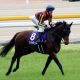 JRA根岸S(G3)「初ダート」ステルヴィオに「35連敗中」の現実……。天下のノーザンファームに「弱点」発覚で激走は期待薄!?