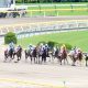 元JRA藤田伸二氏と笠松競馬元調教師が異例のコラボ!? あの“事件”の真相が明らかになるか