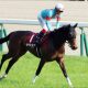 安藤勝己氏「予言」ピタリ!? 「完成度でコントレイルの後塵を拝してきたけど……」有馬記念(G1)11番人気サラキア2着激走に「あの馬」の大進化の期待高まる