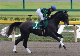 武豊「ダートで好調の年」相棒グリムも勝利濃厚か？