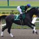 JRA藤田菜七子が武豊&世界の強豪と激突! WASJ参戦騎手決定に大注目
