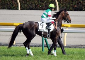 JRA種牡馬「エピファネイア」デアリングタクトが桜花賞（G1）を制し、初重賞勝ちがG1の快挙！ 「キズナ」はあの馬で皐月賞（G1）に勝算あり!?