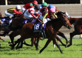 JRA新潟大賞典（G3）「超大穴」に復活条件そろった!? アドマイヤマーズを追い詰めた14番人気2着の激走から1年