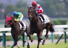 JRA川田将雅「左回りは乗っていないので」高松宮記念（G1）コース不安なし！ダノンスマッシュ「好枠」ゲットで「ジンクス」払拭なるか!?