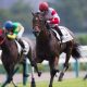 JRA・C.ルメール「強奪」タワーオブロンドンで負けられない!? スプリンターズS「勝つ自信あります」の“裏”によぎる昨秋「大失速」の記憶……