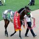 JRA池添謙一「ブラストワンピース・ショック」から逆襲の菊花賞(G1)獲りへ!ゴドルフィンが認める世界的良血馬に「長丁場が合ってる」