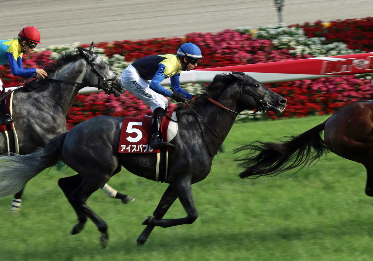 JRA小倉記念(G3)に「超伏兵」を発見! 強力「現場ネタ」が導く確信の三連複!!の画像1