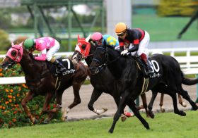 JRA札幌記念特集！カギを握るノーザンファームの思惑とは？「フィエールマン、ワグネリアン、ブラストワンピース、勝たせたいのは…」