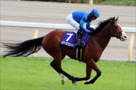 JRA「ルメール→浜中」覚醒タワーオブロンドン鞍上変更にルメール複雑？