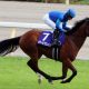 JRA・C.ルメール「強奪」タワーオブロンドンで負けられない!? スプリンターズS「勝つ自信あります」の“裏”によぎる昨秋「大失速」の記憶……