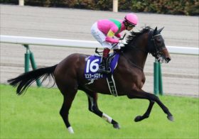 JRA福永祐一から北村友一へ　ミスターメロディは乗り替わりで安田記念（G1）参戦！ 「スランプコンビ」の巻き返しなるか!?