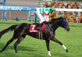 JRA「超良血馬」ヴァーダイトがデビュー！ クリソベリル、マリアライトに続くG1馬への道を歩めるか⁉