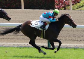 JRA「急逝」スイープトウショウの娘スイープセレリタス「覚醒」なるか!?　スマイルカナVSトロワゼトワルの「ハナ争い」にも注目【ターコイズS（G3）展望】