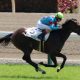 JRA「遺恨勃発」玉砕覚悟の執拗マークは嫌がらせ!? 横山典弘VS柴田大知の仁義なき戦い…… 因縁の二人が迎える第3ラウンド