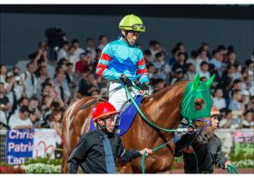 JRAも「他人事」ではない!?　有名騎手が「あおり運転」被害に怒りの声！「まだこんな馬鹿いる」夜の高速でクラクション鳴りっぱなし……