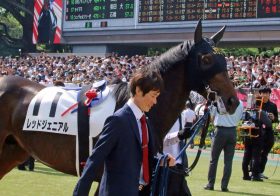 JRA神戸新聞杯（G2）「不気味な豪脚」レッドジェニアルが春の雪辱に準備万端か