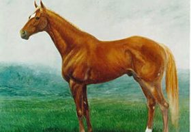 JRAたてがみ事件「謎」の不起訴に非難轟々……「損害額が小さい」に被害牧場「不服申し立てを行う事も」